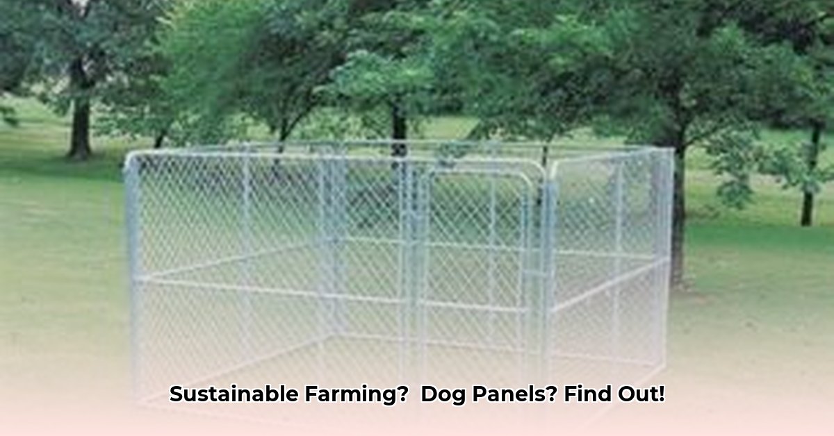 dog-panels-tractor-supply